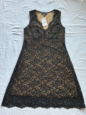 Karen Kane Lace Overlay with Nude Lining A-Line Dress